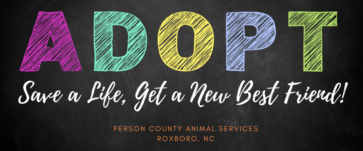 Black chalkboard with ADOPT written in different colors and says Save A Life, Get A New Best Friend
