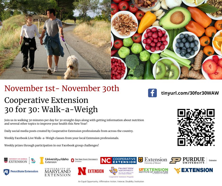 Flyer for 30 for 30 November 2024